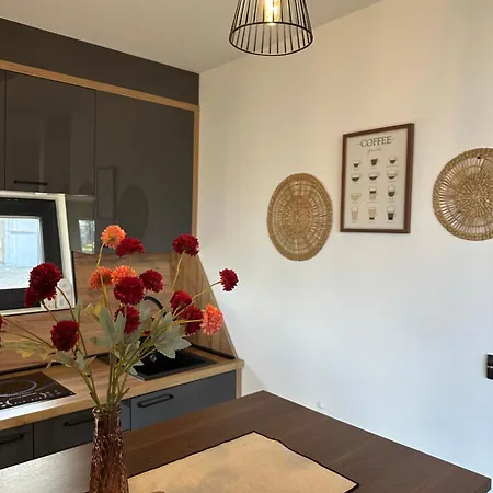 Apartament Malena Lux Čačak